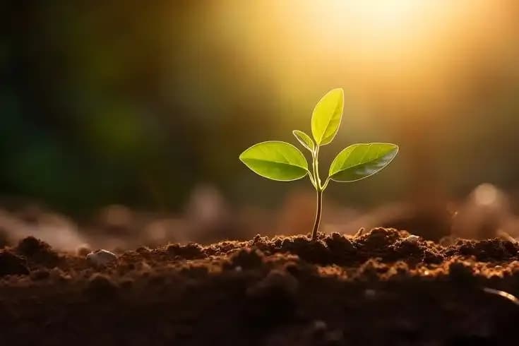 International Soil Day Awareness at Cowork24